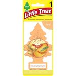 Aromatizante para Auto en Árbol Peach Ginger Spritz