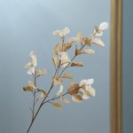 Rama Decorativa de Eucalipto Beige