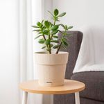 Maceta de Plástico Pianeta Chalk