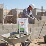 Levantamuro Tipo S Mixto Listo 50 kg