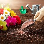 Fertilizante para Flores de 2 Kg