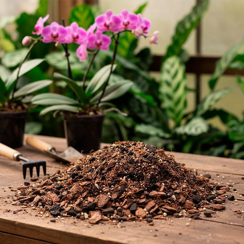Sustrato Orquídea 5 Lb