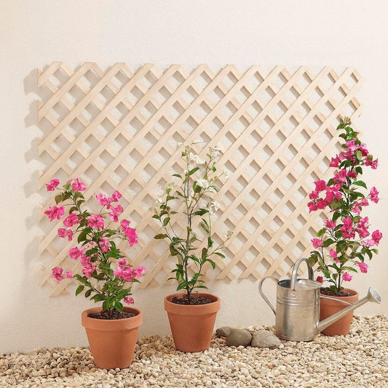 Celosia Madera Natural de 3 Pies x 24 Plg
