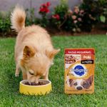 Alimento Húmedo para Perro Adulto Raza Pequeña Pollo en Filetes 100 Grs