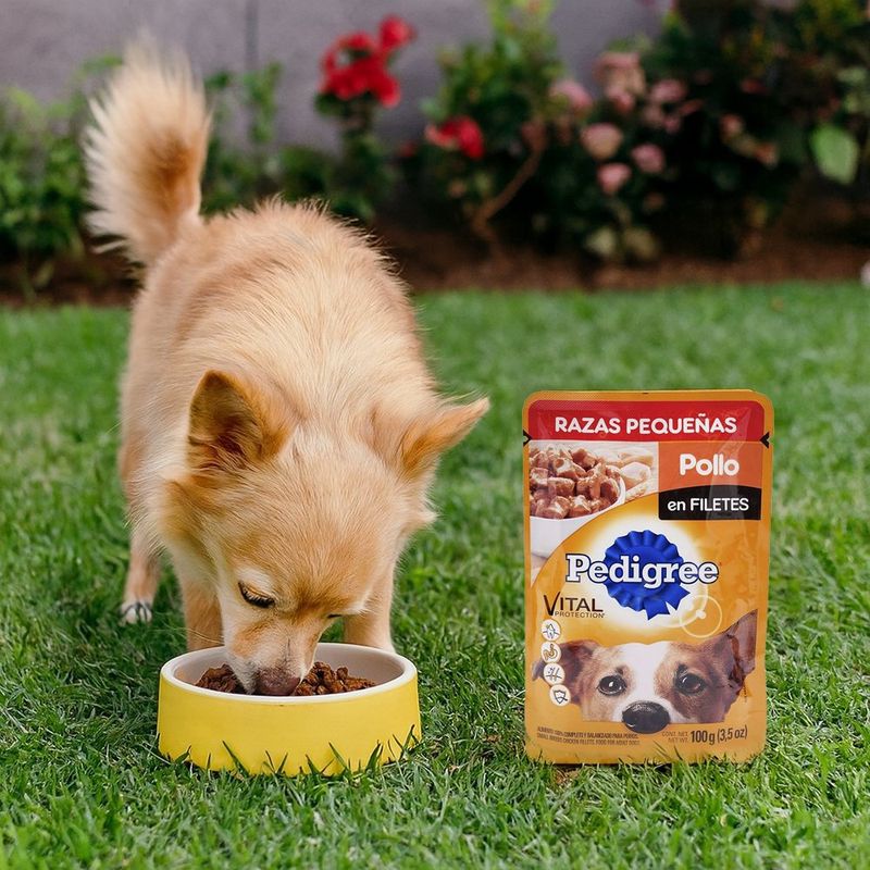 Alimento Húmedo para Perro Adulto Raza Pequeña Pollo en Filetes 100 Grs