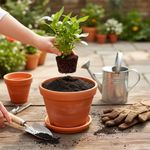 Lombricompuesto Orgánico para Jardín Bolsa 8 Lb