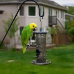 Semillas para Loro 400 Gr