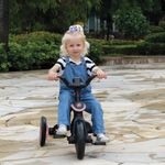 Triciclo Explorador Plegable 4 en 1 Rosa