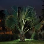 Estaca de Jardín Negra para Foco GU10 IP44 50 W