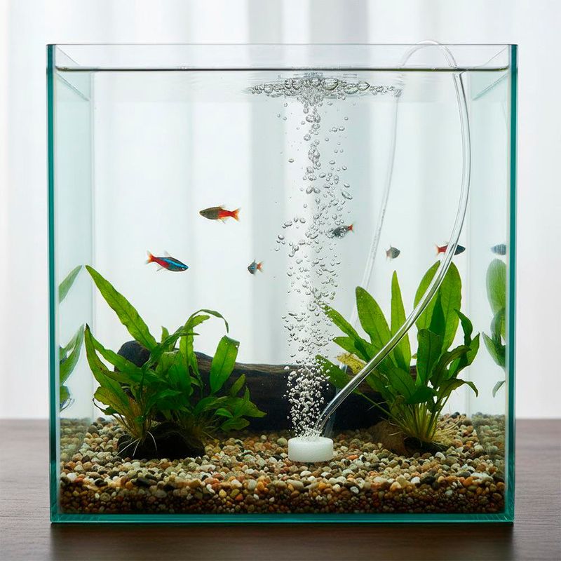 Manguera Multipropósito de Vinil Transparente 3/16 Plg x 1/8 Plg Venta por Pie