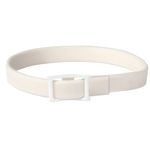 Collar Contra Pulgas y Garrapatas