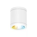 Lámpara de Exterior LED Blanca 15W 3000-6500 K