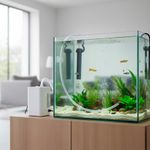 Manguera de Polietileno Transparente 1/4 Plg x 0.17 Plg Venta por Pie