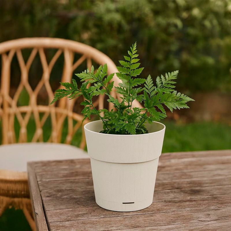 Maceta de Plástico Color Blanco