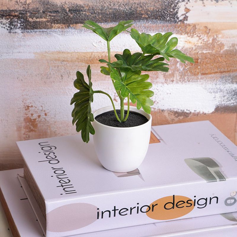 Mini Planta Filodendro con Maceta Blanca