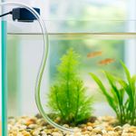 Manguera de Vinil Transparente Multipropósito 5/16 Plgx3/16 Plg Venta por Metro