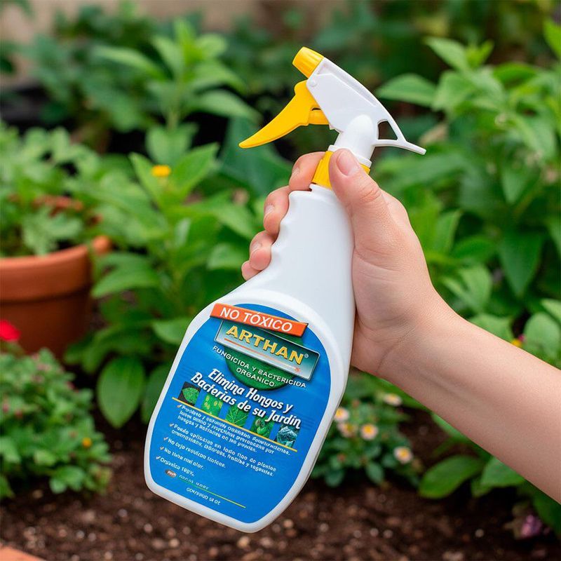 Fungicida Hongos y Bacterias 24 Oz