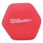 Mancuerna con Forro Vinílico 2 Libras