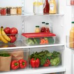 Tazón Rectangular Rojo