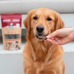 Snack Deshidratado para Perro y Gato Todas las Etapas y Razas Sabor Corazón de Res 50 Grs