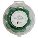 Vela con Forma de Suculente Colores Surtidos