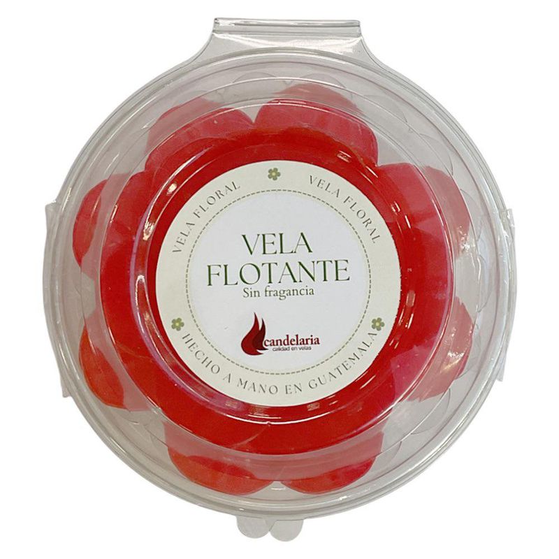 Vela con Forma de Suculente Colores Surtidos