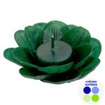 Vela con Forma de Suculente Colores Surtidos