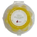 Vela con Forma de Suculente Colores Surtidos