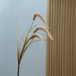 Ramo Decorativo de Juncos Beige 90 cm