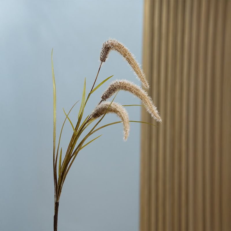 Ramo Decorativo de Juncos Beige 90 cm