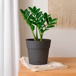 Maceta de Plástico Pianeta Grafito