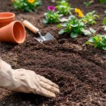 Lombricompuesto para Jardin 4 Lb