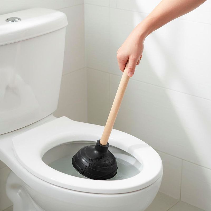 Bomba Destapacaños con Copa de Hule 15 Cm