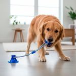 Juguete de Pelota y Lazo Press & Pull Colores Surtidos