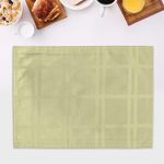 Individual con Relieve Verde de 33X45 Cm - Viva