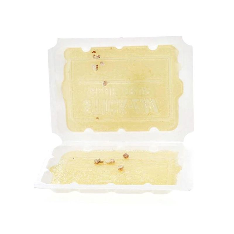 Set de 2 Trampas Adhesivas para Roedores