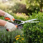 Tijera para Arbustos de 22 Cm