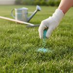 Fertilizante para Grama de 2 Kg