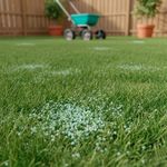 Fertilizante Quimico para Grama 10 Kg