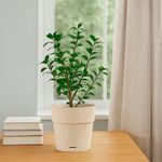 Maceta de Plástico Pianeta Chalk