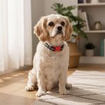 Collar para Perro Talla M Diseño Marvel