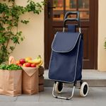 Carretilla para Compras Tubos de Metal