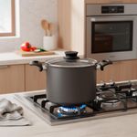 Olla Alta Paris con Tapa 20 Cm