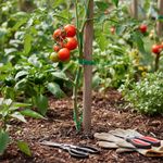 Alambre Guía para Plantas de 30 M