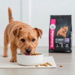 Alimento para Perro Adulto Raza Pequeña Sabor a Pollo 3 Kg