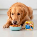 Alimento Húmedo para Perro Adulto Todas las Razas con Pollo y Verduras 100 Grs