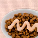 Snack para Gatos Churu Sabor Salmón 4 Tubos