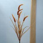 Ramo Decorativo de Juncos Naranja 85 cm
