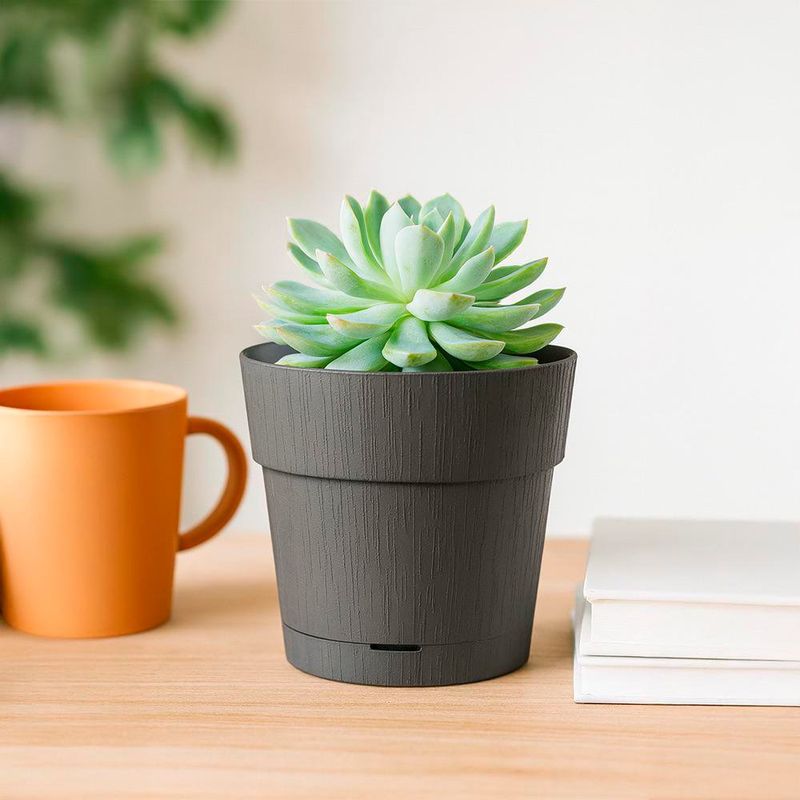 Maceta de Plástico Pianeta Grafito