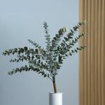 Rama de Eucalipto Escarchado Decorativa